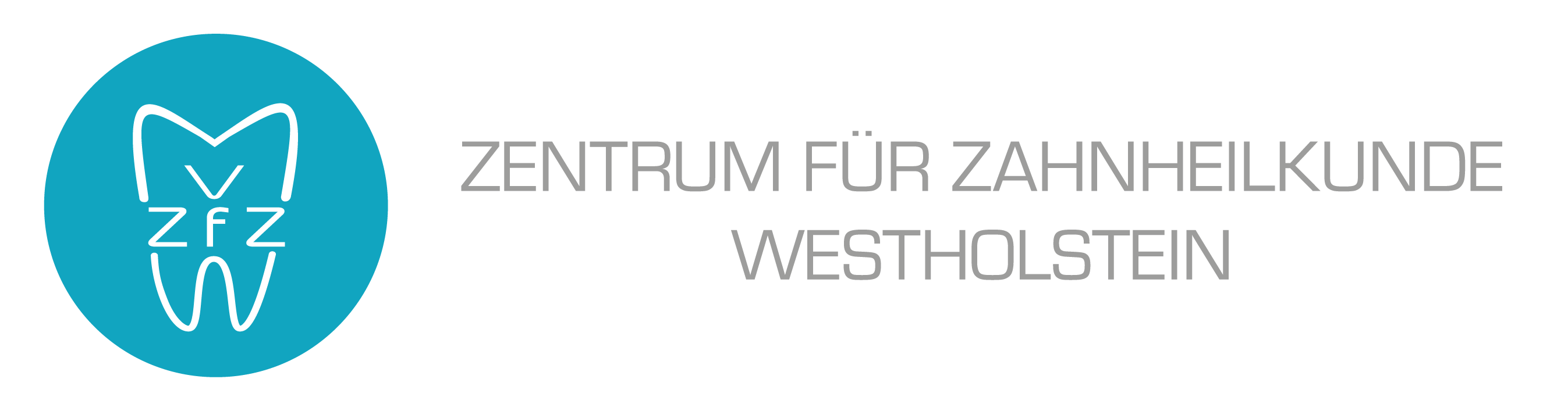 zfz_logo_V2D_00a5c0